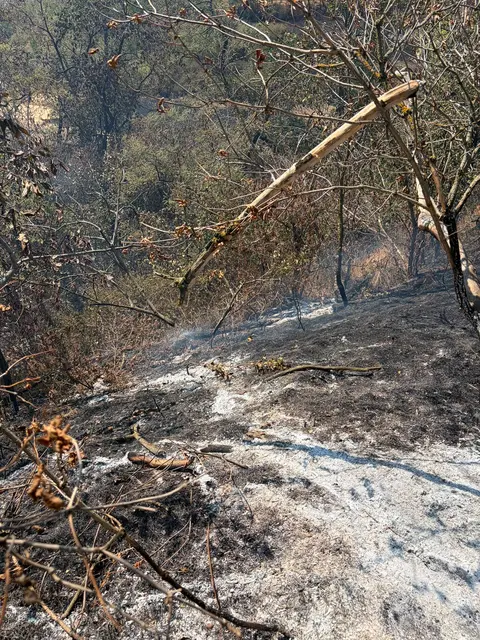 Foto: BFKDO Gänserndorf