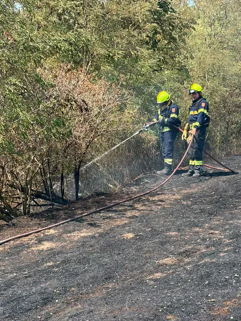 Foto: BFKDO Gänserndorf
