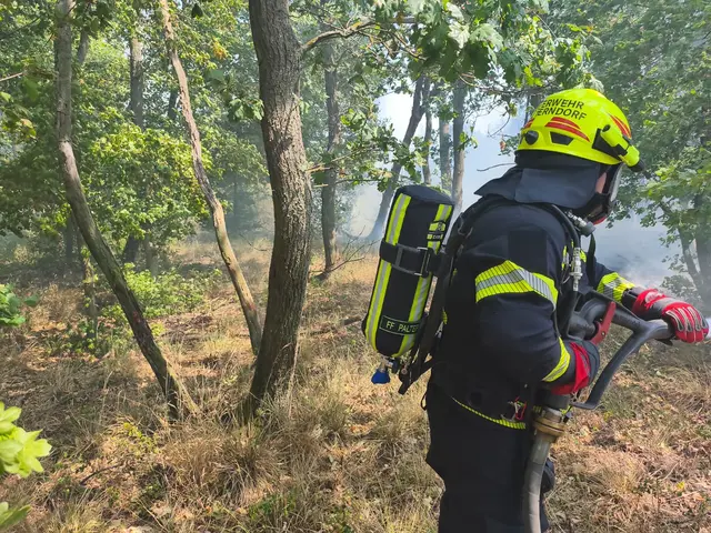 Foto: BFKDO Gänserndorf