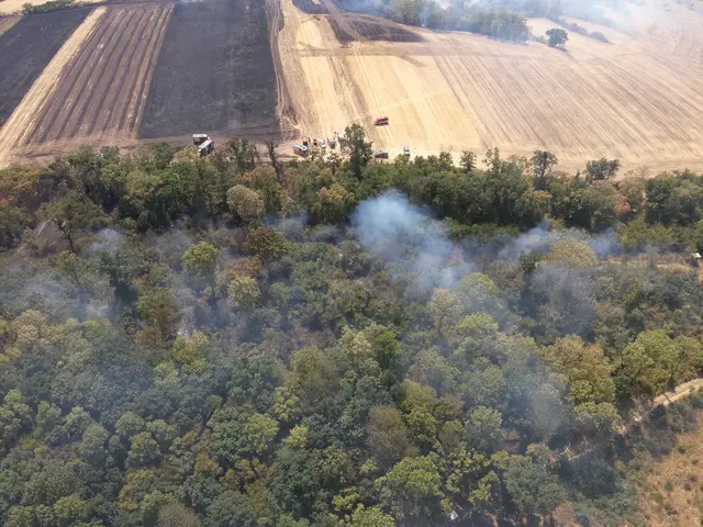 Foto: BFKDO Gänserndorf
