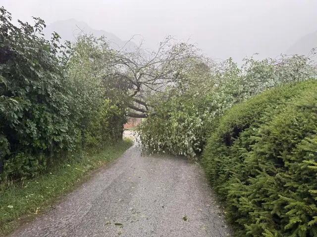 Die Feuerwehren im Bezirk Liezen hatten am Mittwoch alle Hände voll zu tun: Sie wurden zu insgesamt 26 Einsätzen gerufen. Dieses Bild stammt von der FF Gröbming-Winkl. Sie wurde am Mittwoch aufgrund starker Unwetter zu mehreren Einsätzen gerufen. | Foto: Freiwillige Feuerwehr Gröbming-Winkl