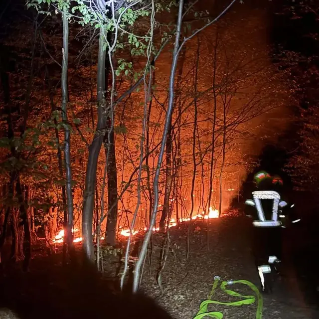In der Nacht von Mittwoch auf Donnerstag kam es zu einem zweiten Waldbrand. | Foto: FF Mauerbach