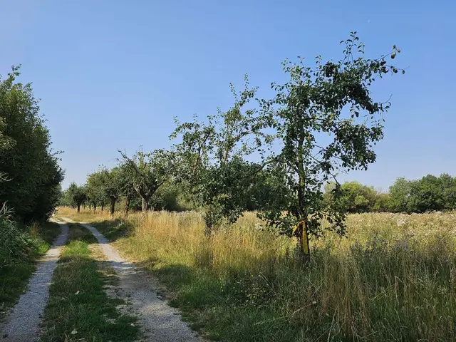 Ein Spaziergang lässt sich damit ganz einfach mit einer kleinen Obsternte verbinden. | Foto: FPÖ Bezirk Horn