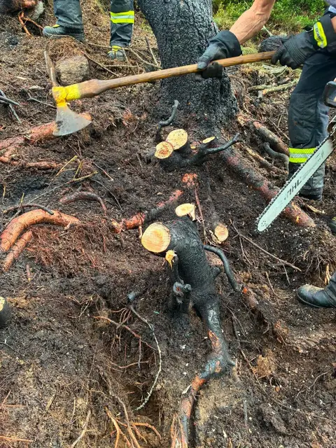 Die Einsatzkräfte schnitten den betroffenen Bereich frei und bearbeiteten den Boden mit Schanzwerkzeug. | Foto: Freiwillige Feuerwehr Rennweg am Katschberg