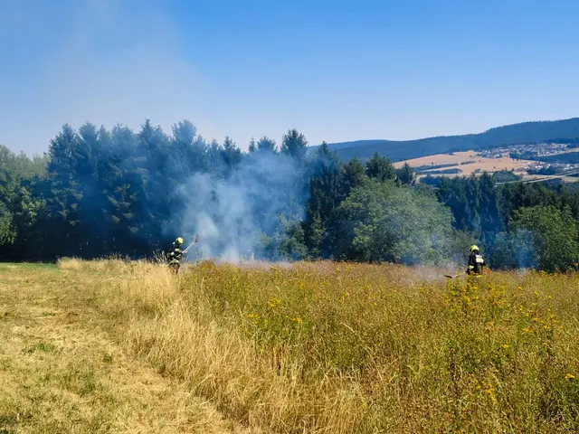 Foto: Feuerwehr Holzschlag