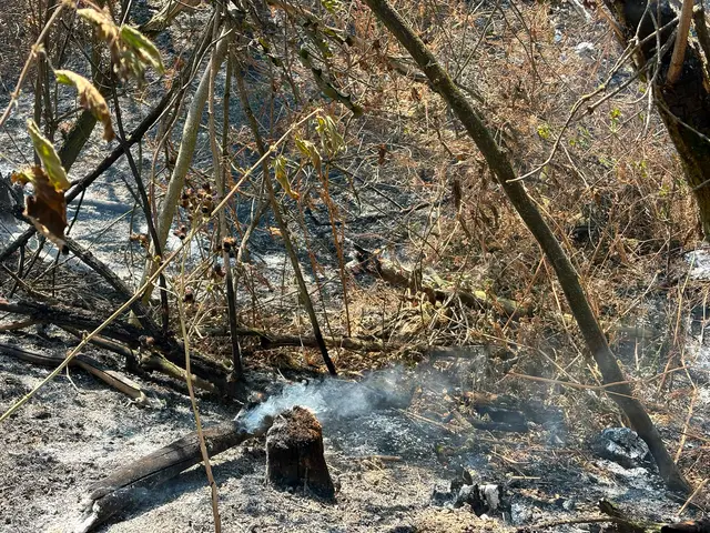 Foto: BFKDO Gänserndorf