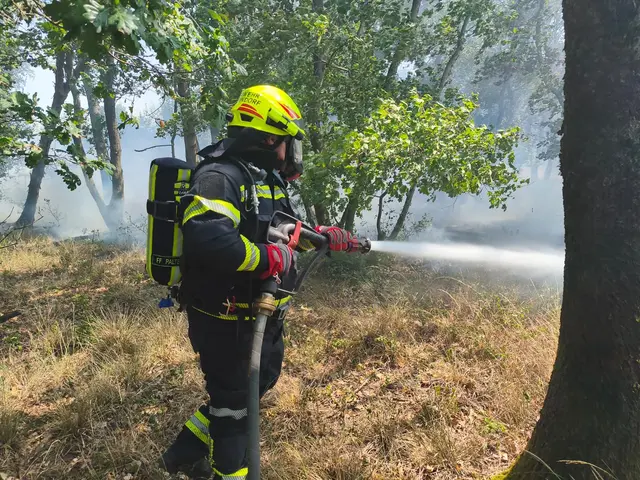 Foto: BFKDO Gänserndorf
