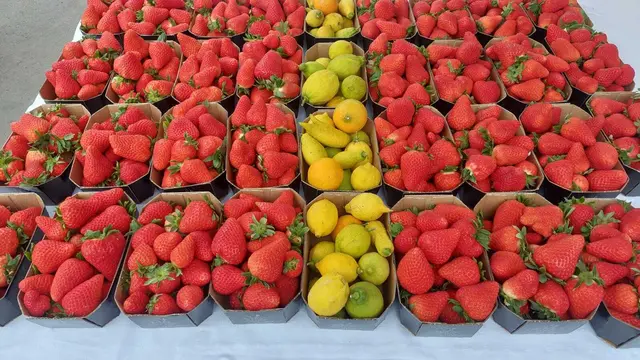 Erdbeeren und Zitronen