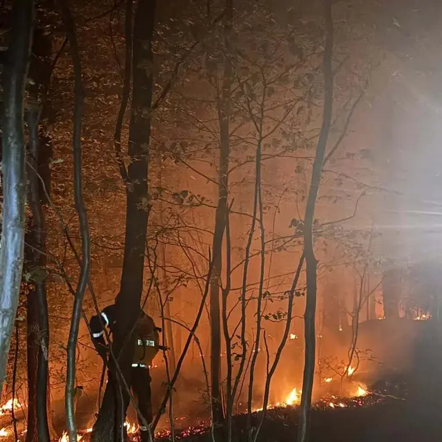 Die Feuerwehren Mauerbach, Steinbach und Gablitz mussten zwei Waldbrände bekämpfen. | Foto: FF Mauerbach