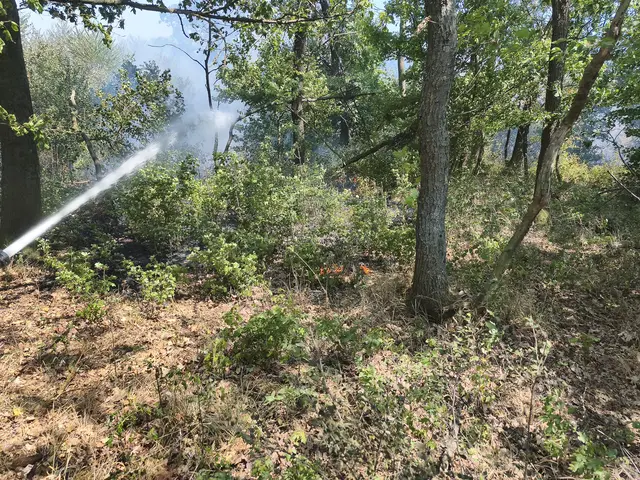 Foto: BFKDO Gänserndorf