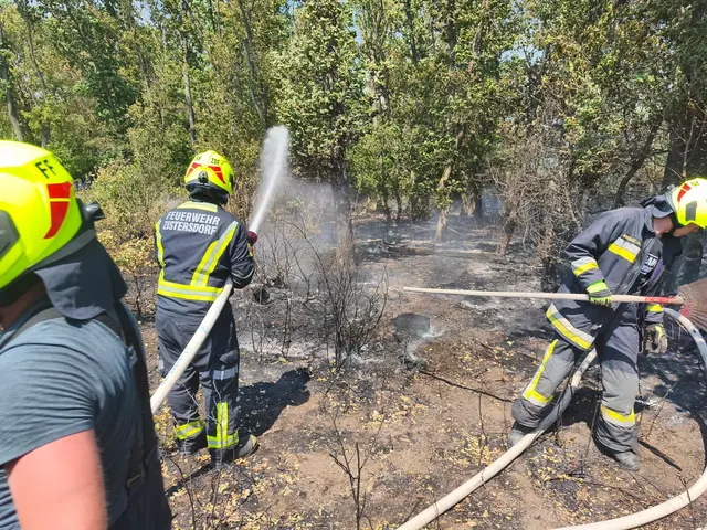 Foto: BFKDO Gänserndorf