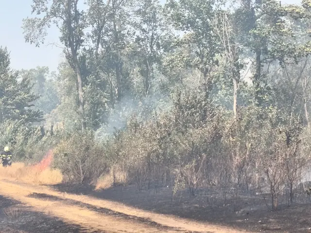 Foto: BFKDO Gänserndorf