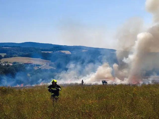 Die anhaltende Trockenheit erhöht die Gefahr für Wald- und Flurbrände. Die Feuerwehren mahnen zur Sorgsamkeit - auch beim Wasserverbrauch. | Foto: Feuerwehr Holzschlag