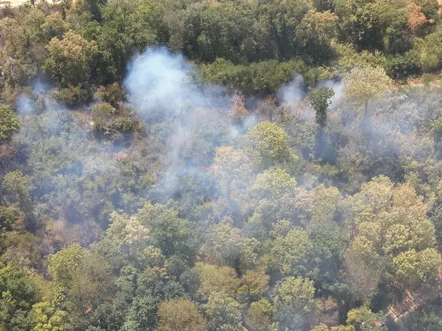 Foto: BFKDO Gänserndorf