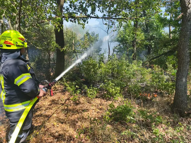 Foto: BFKDO Gänserndorf
