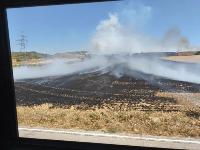 Foto: BFKDO Gänserndorf