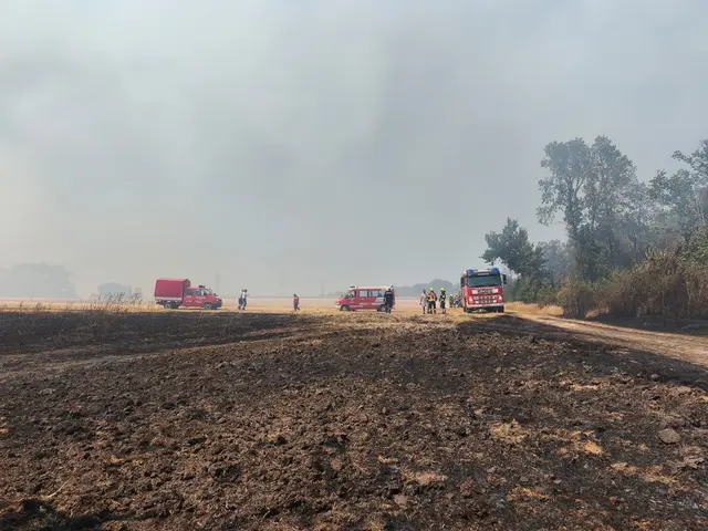 Foto: BFKDO Gänserndorf