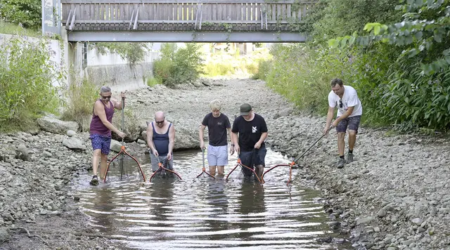 Die Mattig in Pfaffstätt ist völlig trocken gefallen und Mitglieder vom Fischereiverein Schalchen retten die verbliebenen Fische aus den letzten Tümpeln. | Foto: Manfred Fesl