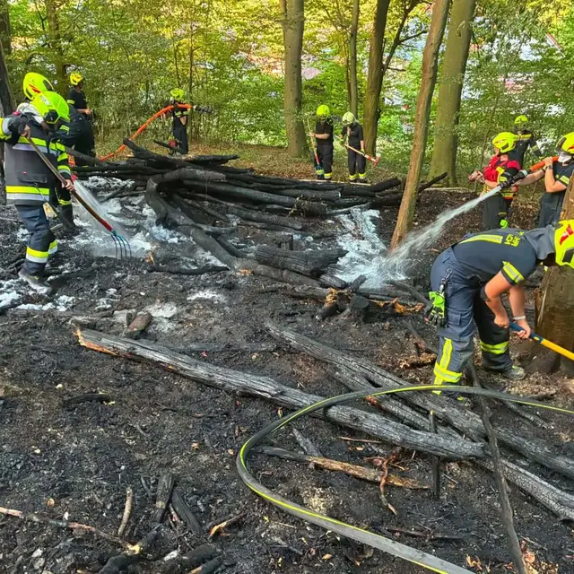 Beim ersten Einsatz brannte eine Fläche von rund 70 Quadratmetern. | Foto: FF Mauerbach