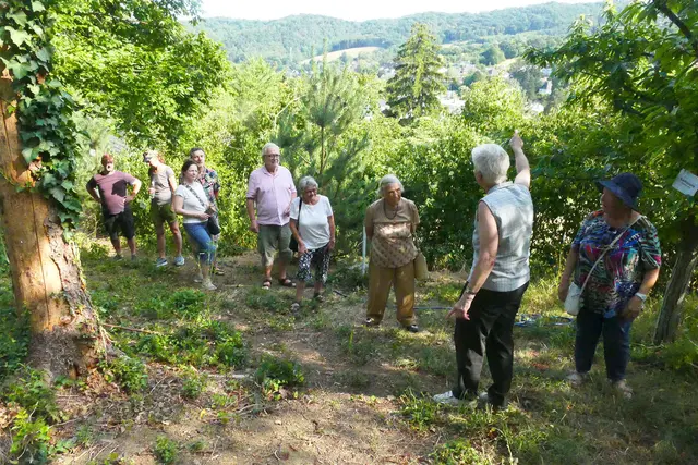 Bild 3: Steil ging es durch den Wald den Berg hinauf, geführt und erklärend durch Dir. Christl Chlebecek | Foto: Chlebecek