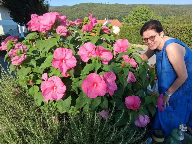 Karla Schöll mit der "Hibiskuspracht". | Foto: Werner Schöll