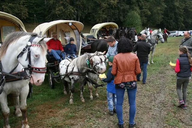 Strudengauer Volksfest und Messe.  | Foto: Zinterhof