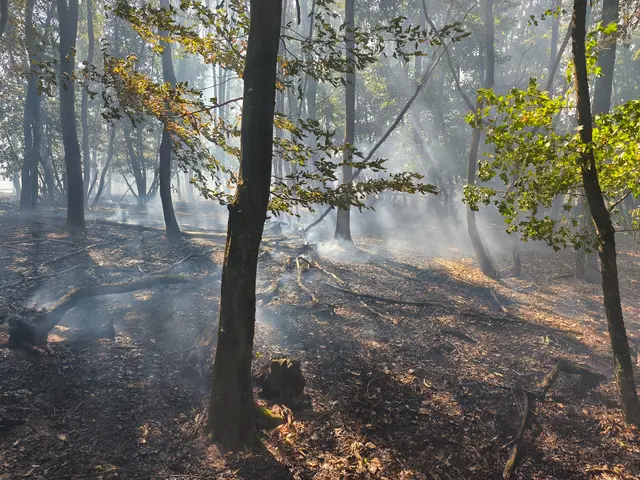 Foto: BFKDO Gänserndorf