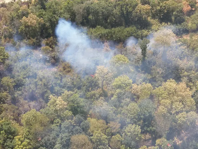 Foto: BFKDO Gänserndorf