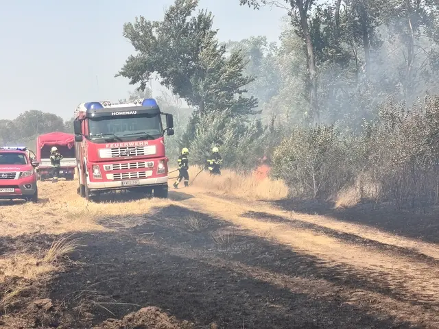 Foto: BFKDO Gänserndorf