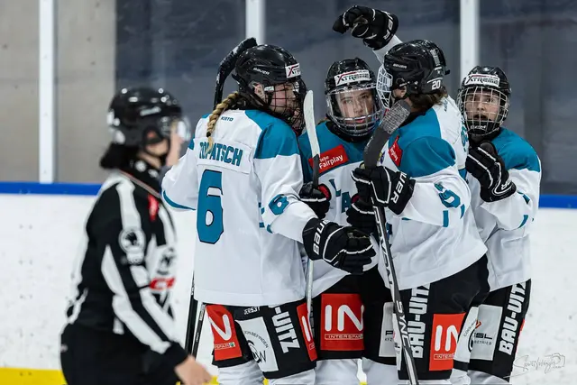 Jubeln sicher schon bald wieder beim International Summer Hockey Cup: die Lakers Kärnten | Foto: derHandler/Wolfgang Handler