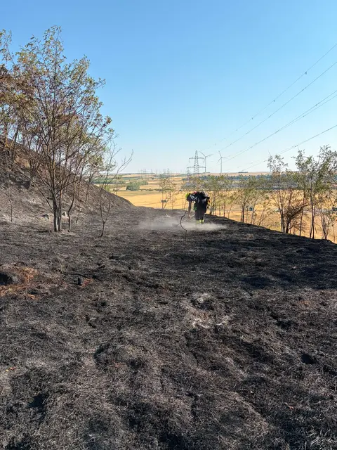 Foto: BFKDO Gänserndorf