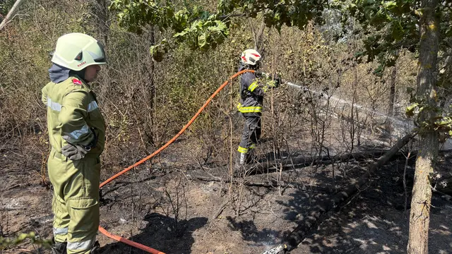 Foto: BFKDO Gänserndorf