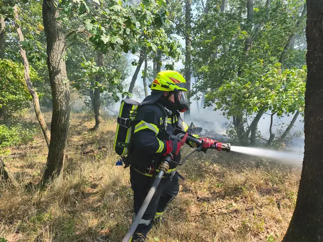 Foto: BFKDO Gänserndorf