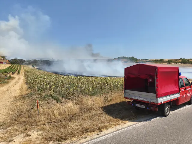 Foto: BFKDO Gänserndorf