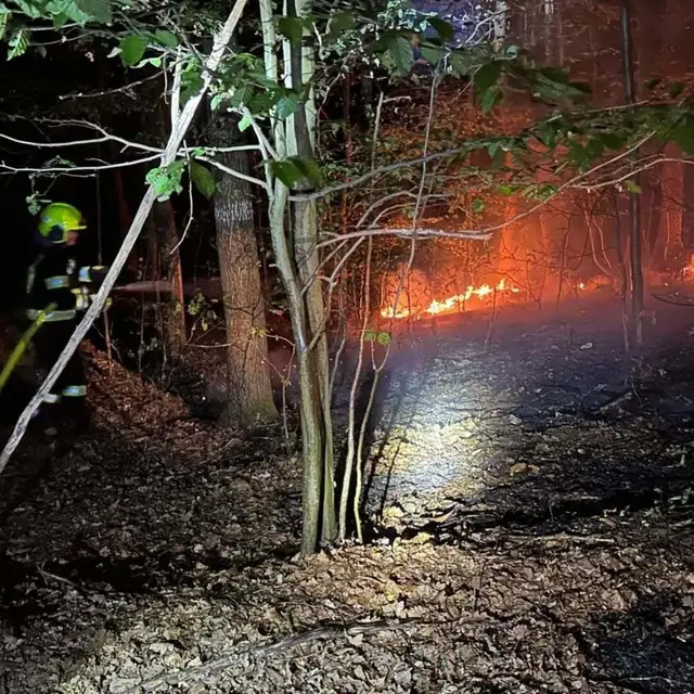 Foto: FF Mauerbach