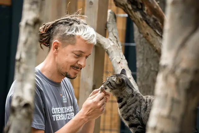 Foto:  Österreichischer Tierschutzverein