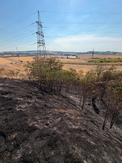 Foto: BFKDO Gänserndorf