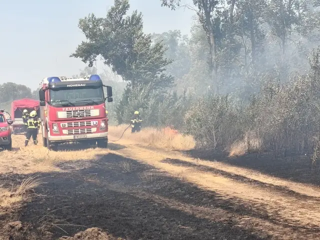 Foto: BFKDO Gänserndorf