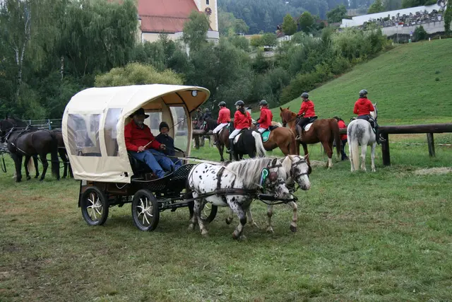Strudengauer Volksfest und Messe.  | Foto: Zinterhof