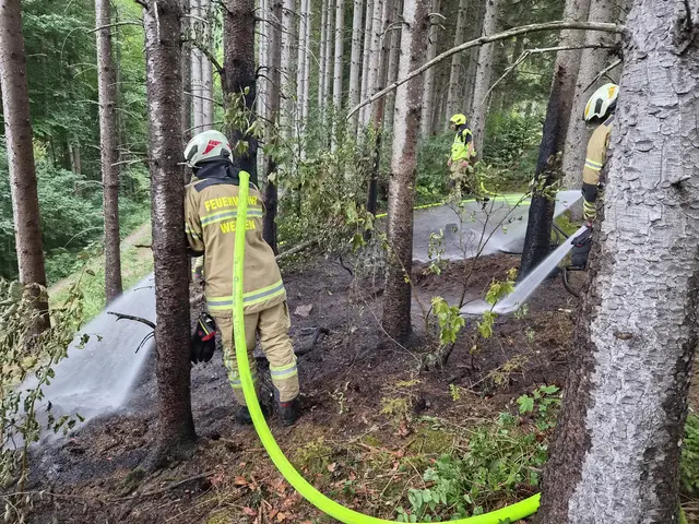 In den vergangenen Wochen ist es zu mehreren Waldbränden im Ortsgebiet von Werfen/Pfarrwerfen gekommen.  | Foto: Feuerwehr Werfen