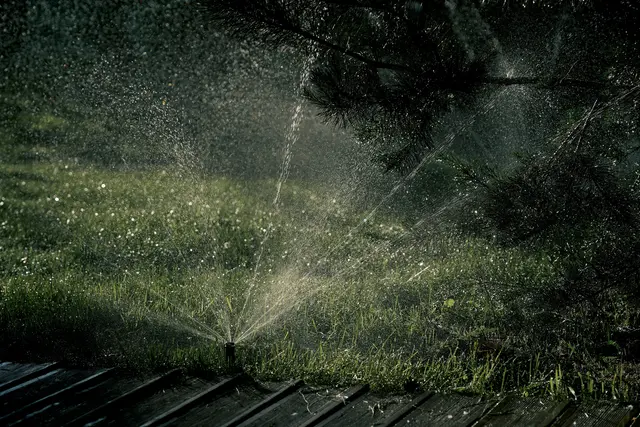 Foto: unsplash / Maxim Tolchinskiy