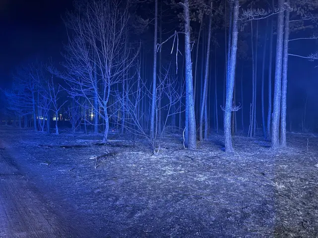 Foto: ffmoedling.at