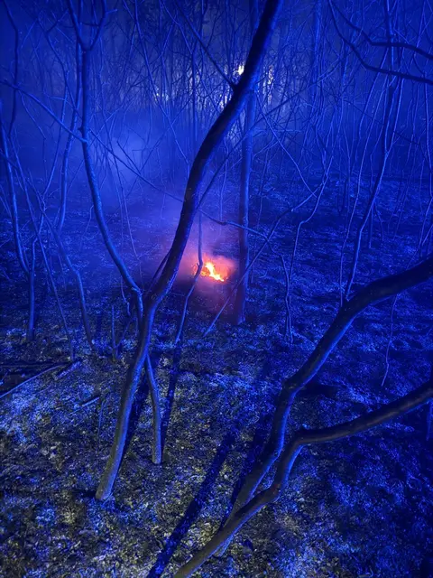 Foto: ffmoedling.at