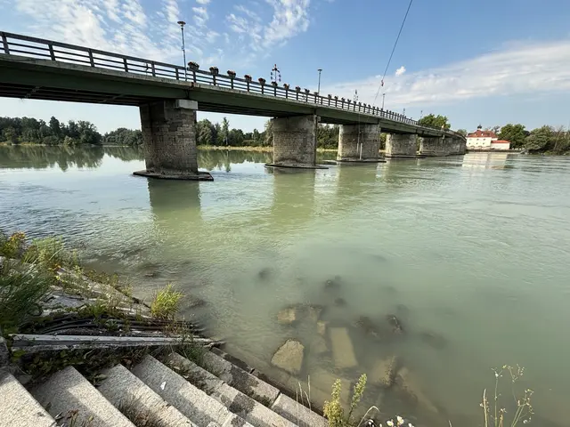 Unter der alten Schärdinger Innbrücke beginnt das Niedrigwasser am Inn. | Foto: Gruber