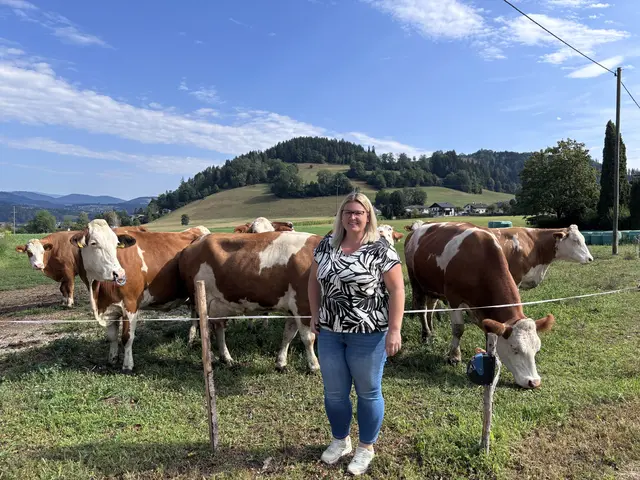 Jasmin Wiggisser betreibt mit ihrem Gatten einen Milchviehbetrieb im Nebenerwerb und berichtet über die aktuelle Situation. | Foto: MeinBezirk