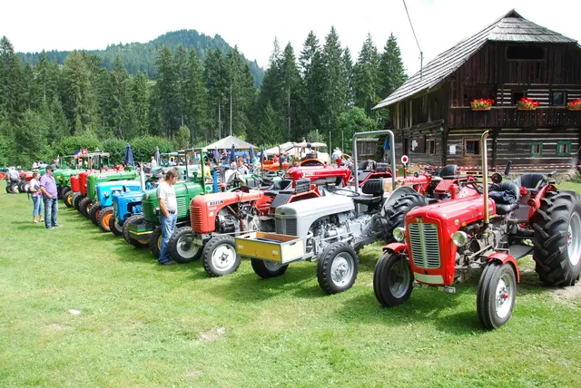 Der Oldtimer Club und die Dorfgemeinschaft Wachsenberg veranstalten auch heuer wieder den beliebten Traktoren-Geschicklichkeitsbwerb. | Foto:  Privat