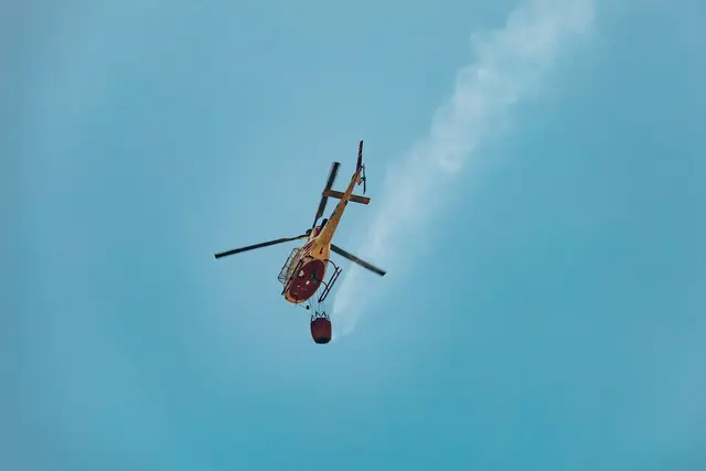 Durch die lange Trockenheit führt ein Blitzschlag schnell zu einem Waldbrand.  | Foto: pexels / Liane Ferreira