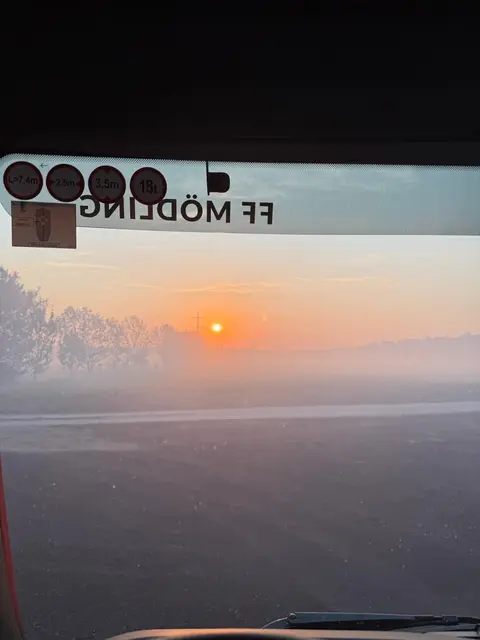 Foto: ffmoedling.at