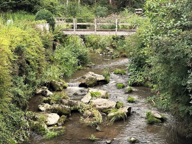 Auch der idyllische Kösslbach bei Kneiding führt heuer extrem wenig Wasser. | Foto: Gruber