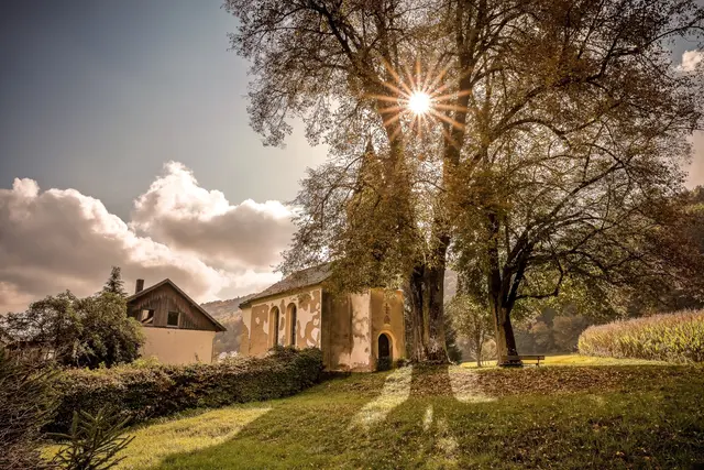 Der Sonntag bringt viel Sonne und sommerliche Temperaturen nach Niederösterreich.
 | Foto: Pexels (Symbolbild)